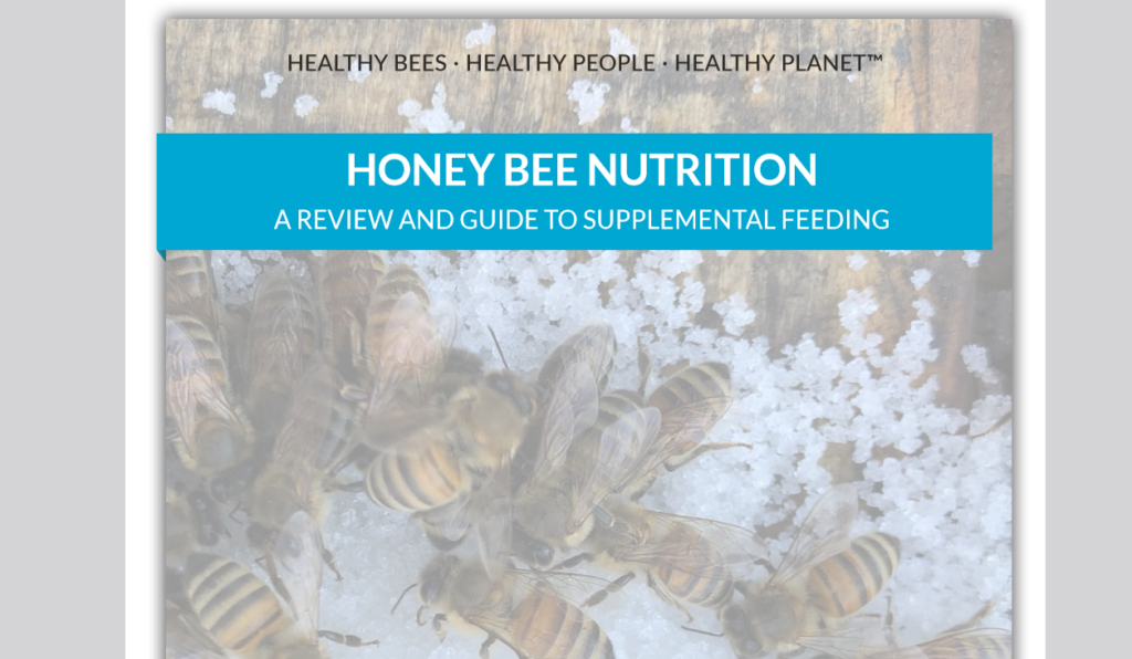 Honeybee health guide released