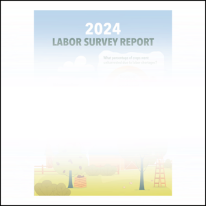 Labor Survey Report 2024.