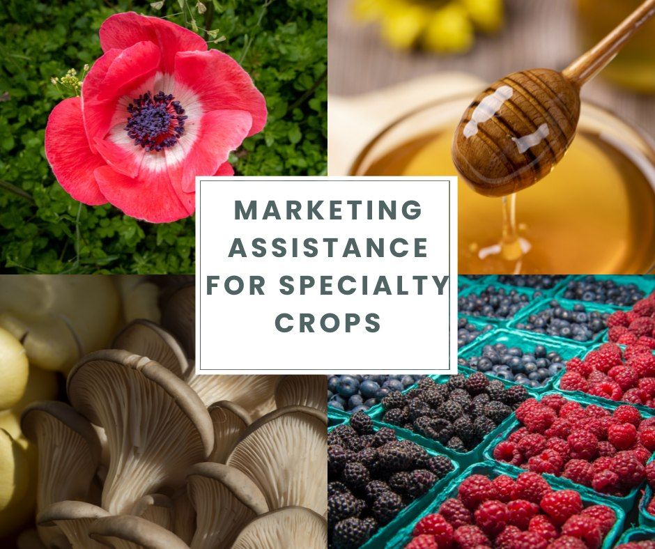 USDA Marketing Assistance for Specialty Crops program