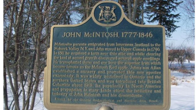 Canada farm that gave birth to the McIntosh apple up for sale