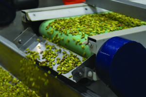 Pistachios on a finishing machine.