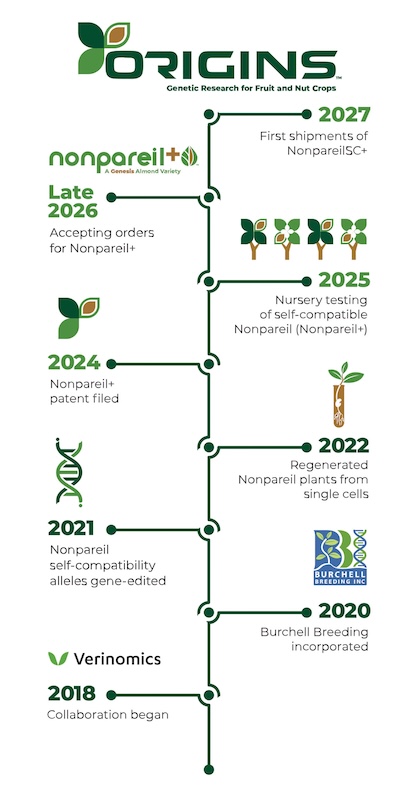 Timeline of almond genetic research.