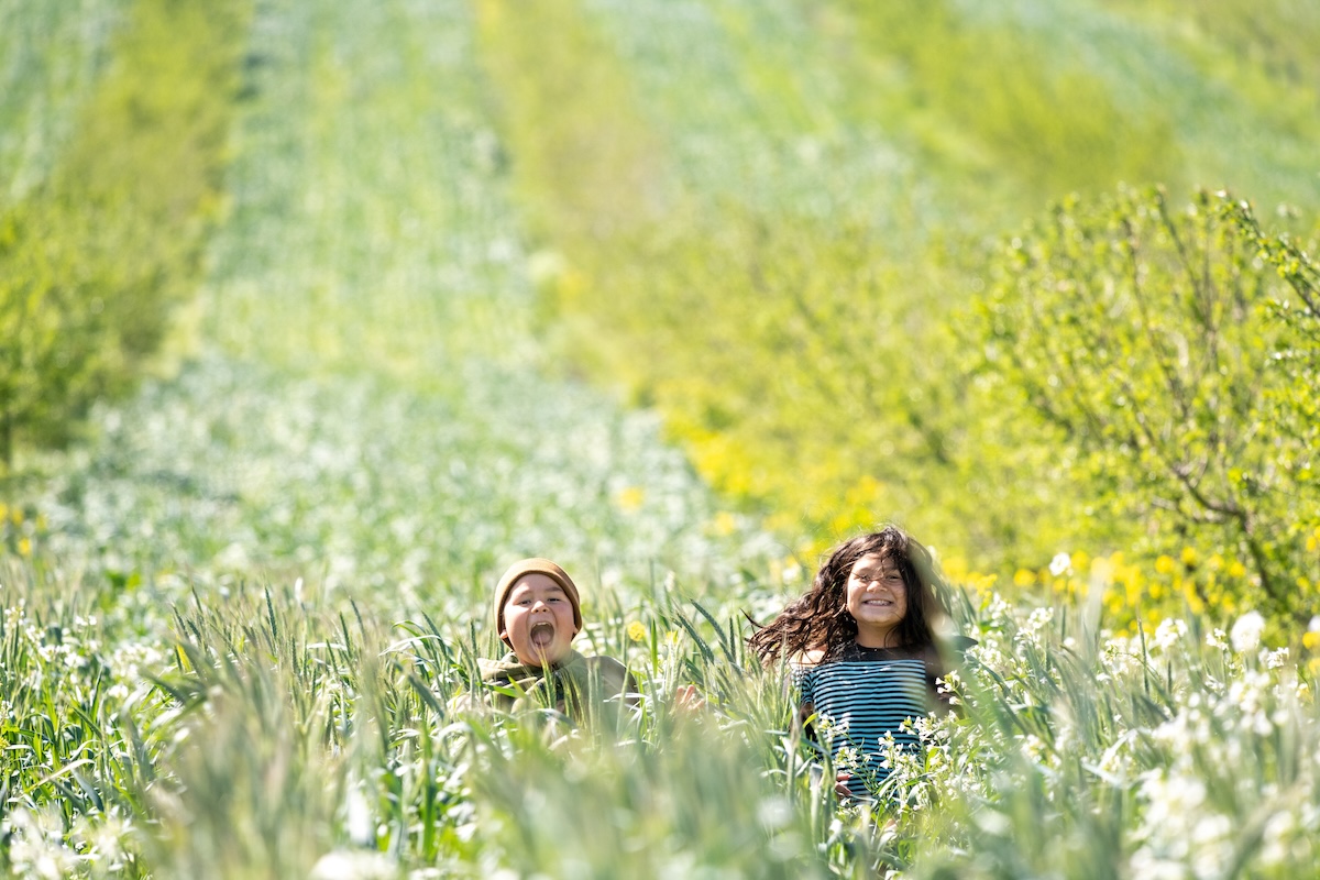 Young boy and girl smiling while planing in a lush field.