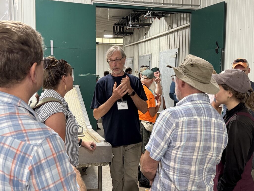 Building a better chestnut