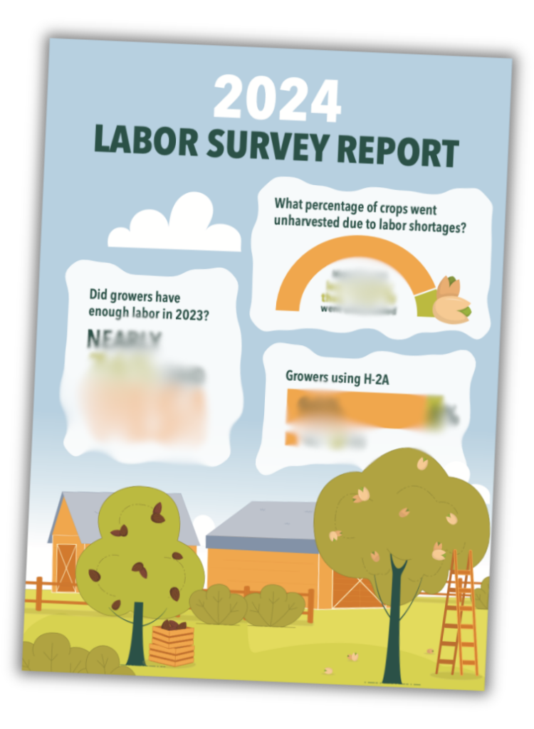 Labor Survey Report 2024