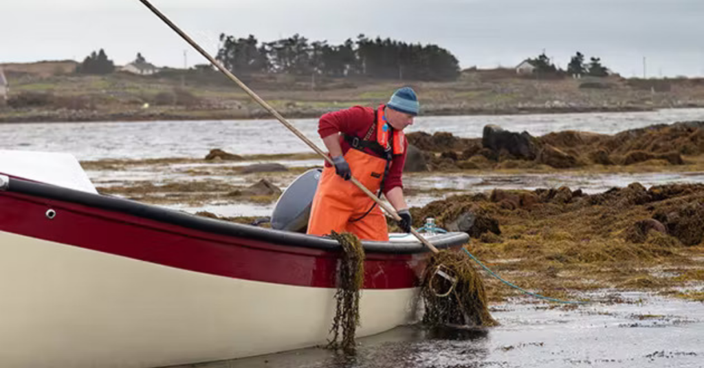 Acadian Plant Health, BASF partner to develop climate-resilient agriculture solutions