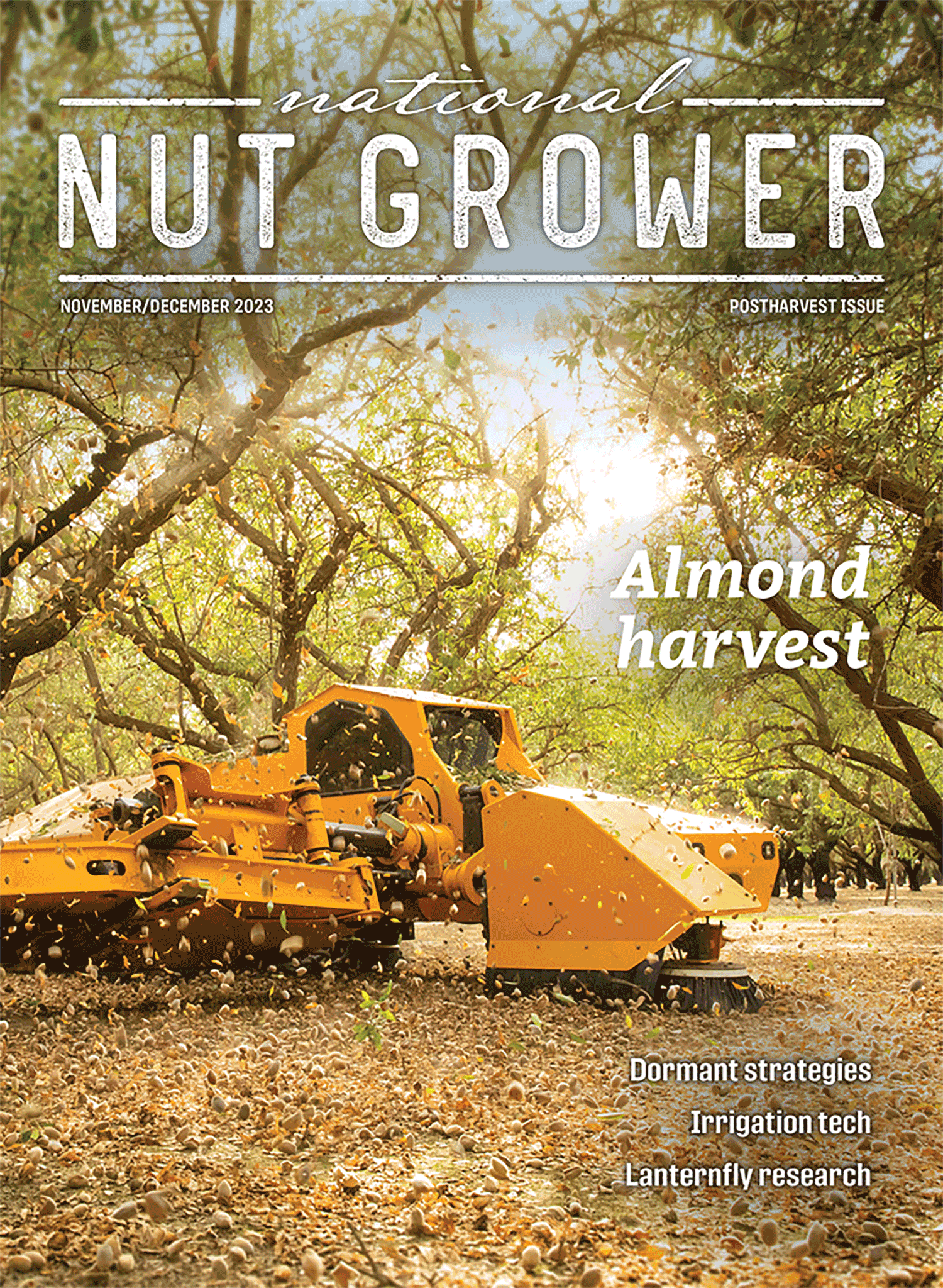 November/December 2023