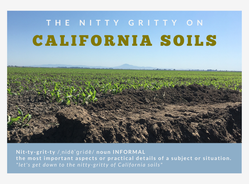 Four-part series on California soils targets growers