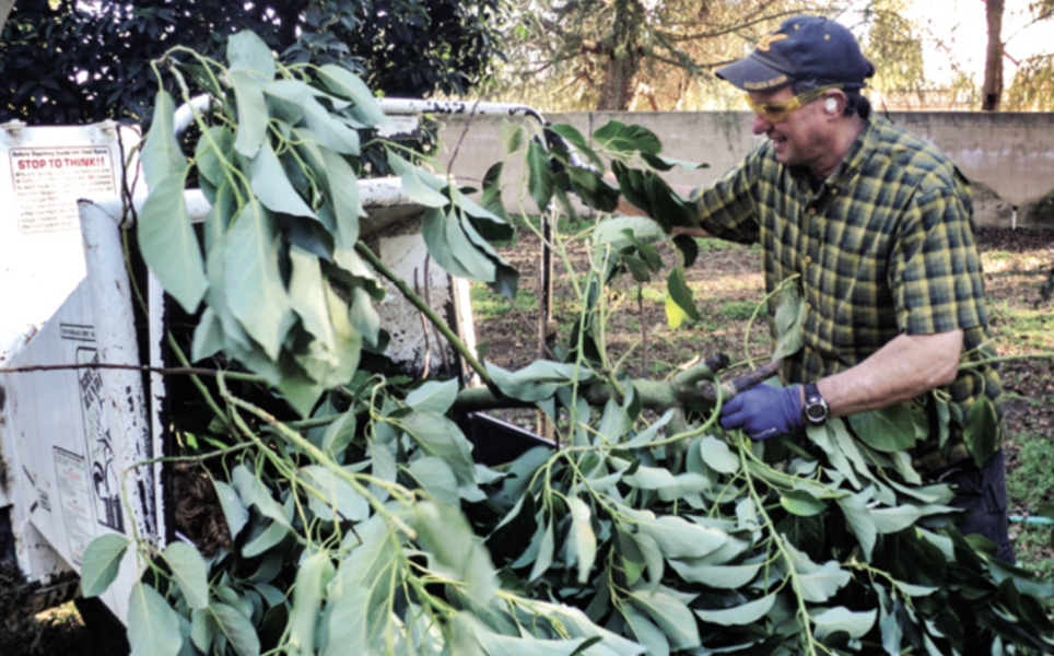Orchard recycling pioneer inspires almond farmers