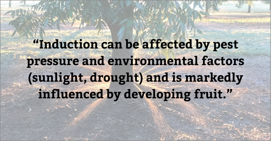 Quote about pecan production challenges.