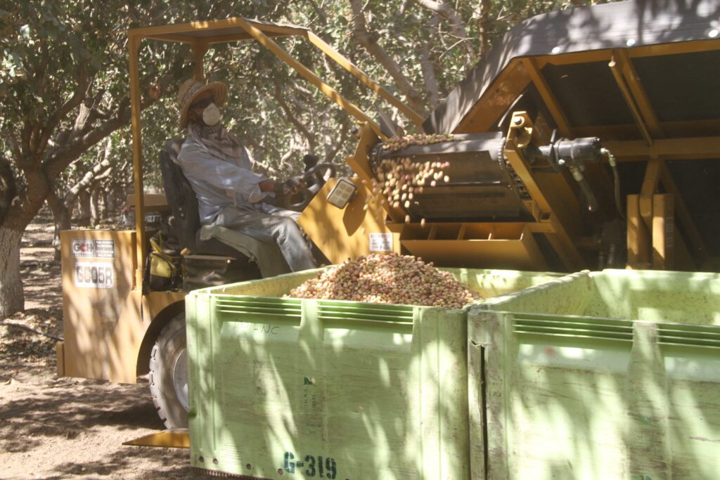 US pistachio production shows record on-year high