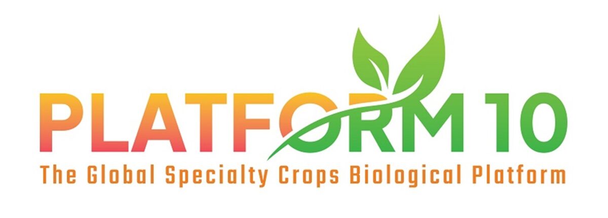 Platform 10 logo