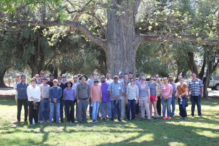 ‘Principles of Fruit & Nut Tree Growth, Cropping & Management’ goes virtual