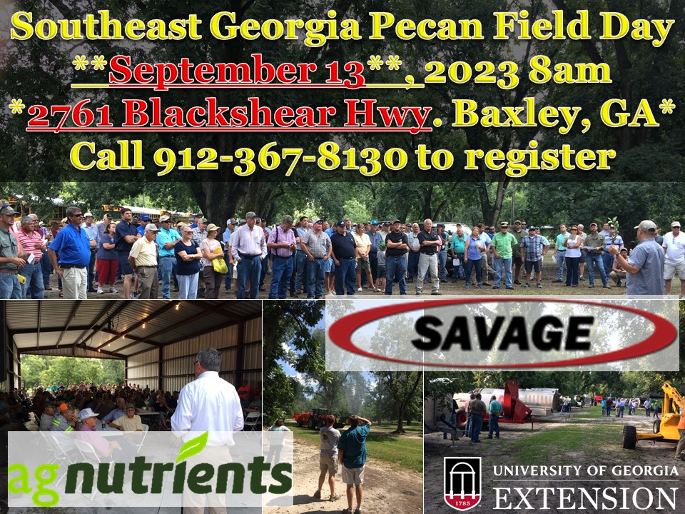 Hurricane Idalia forces rescheduling of southeast Georgia pecan field day