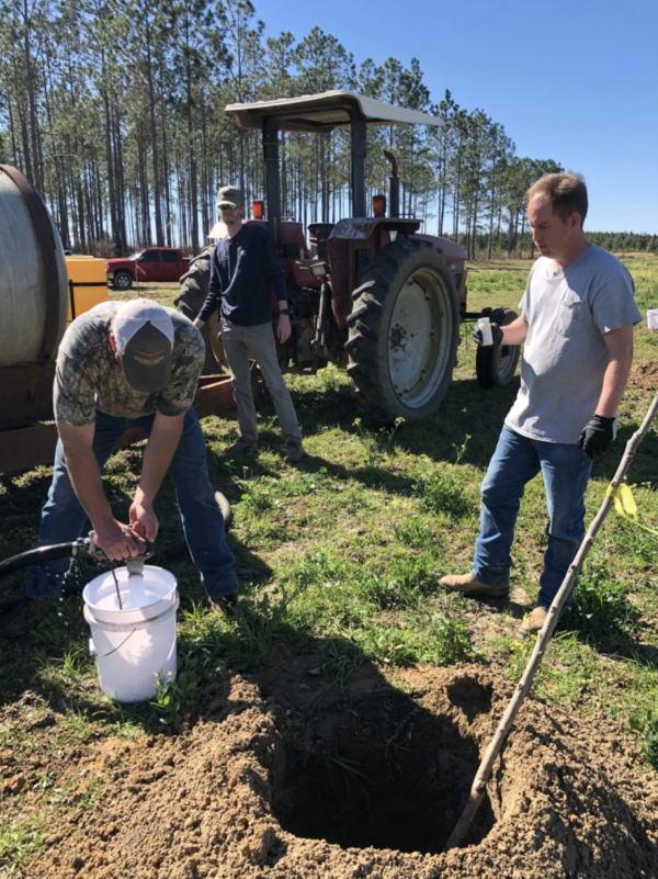 Planting and irrigation setup complete for low-input variety trial in southeast Georgia