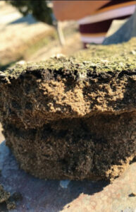 Close-up of soil sample where worms have helped improve the soil health.
