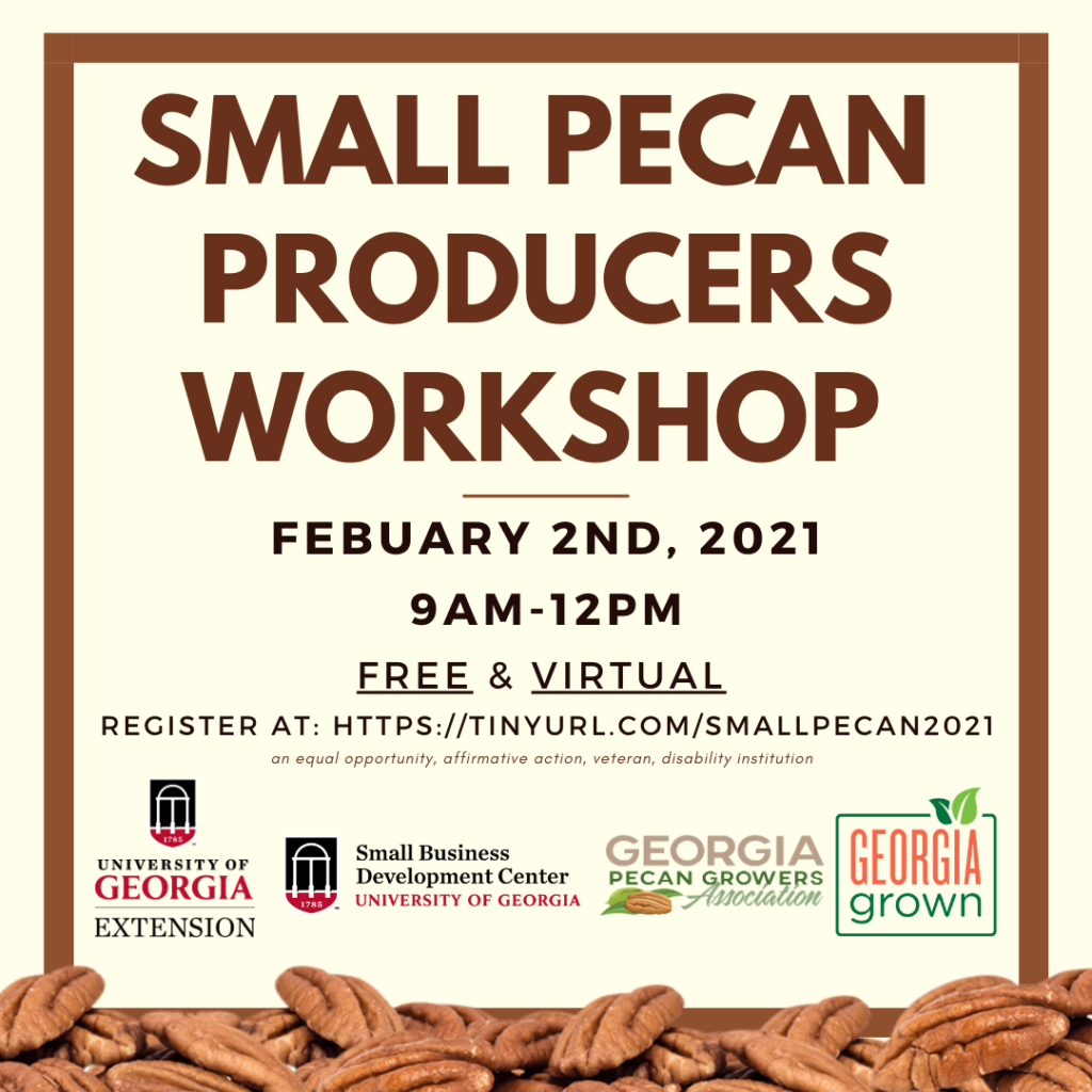 Small Pecan Producers Workshop scheduled in Georgia
