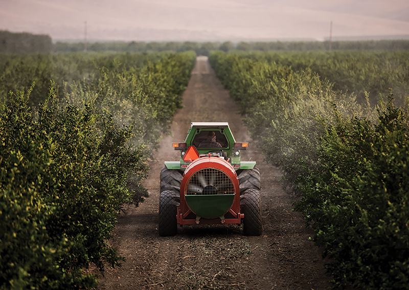 A sprayer applying chemicals to plants while driving through an orchard.