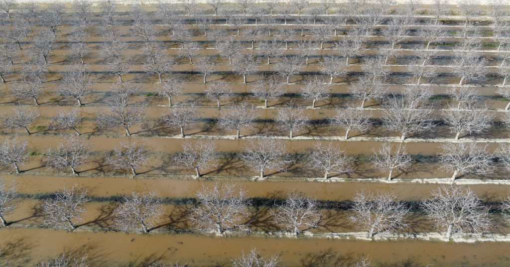 A change in philosophy