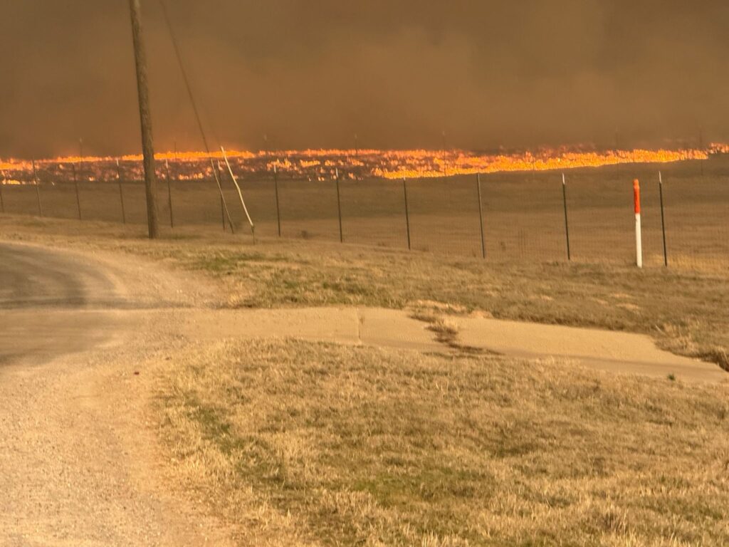 Texas panhandle growers in wildfire disaster region