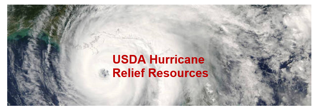 USDA hurricane relief resources