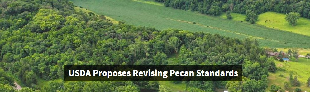 USDA proposes revising pecan standards