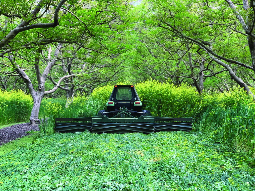 A large piece of farm equipment driving in a green walnut orchard.