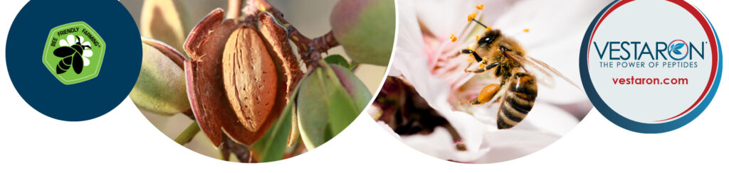 Bee Friendly Farming to partner with Vestaron Corp.