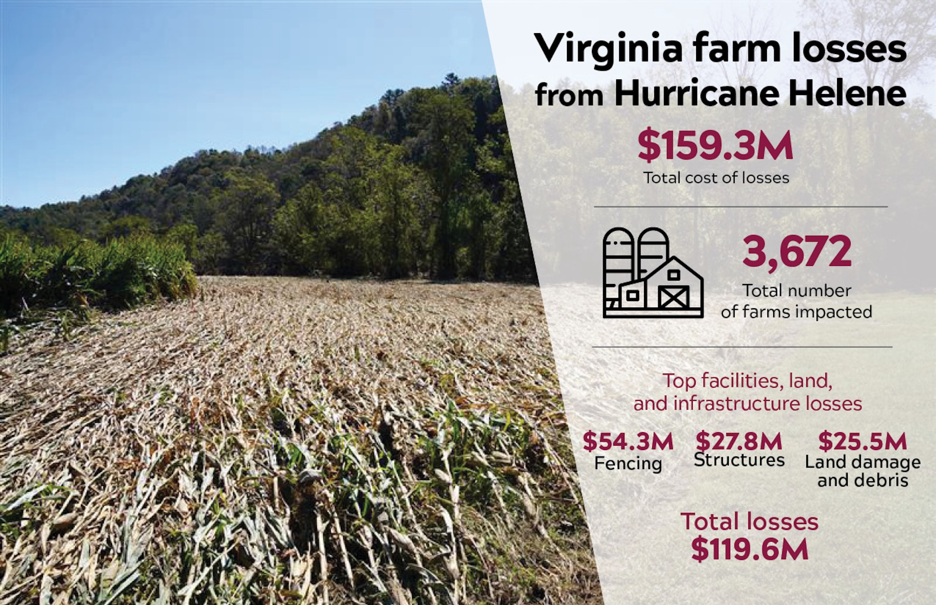 Virginia hurricane damage