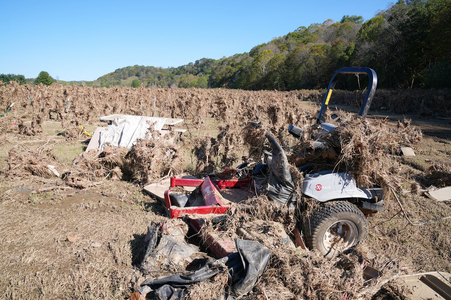 A 12-acre organic berry orchard on River Ridge Farm in Grayson County was destroyed after the