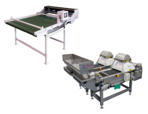 WECO WalnutTek hulling line walnut sorter and Mutiscan S30W in-shell line walnut sorter