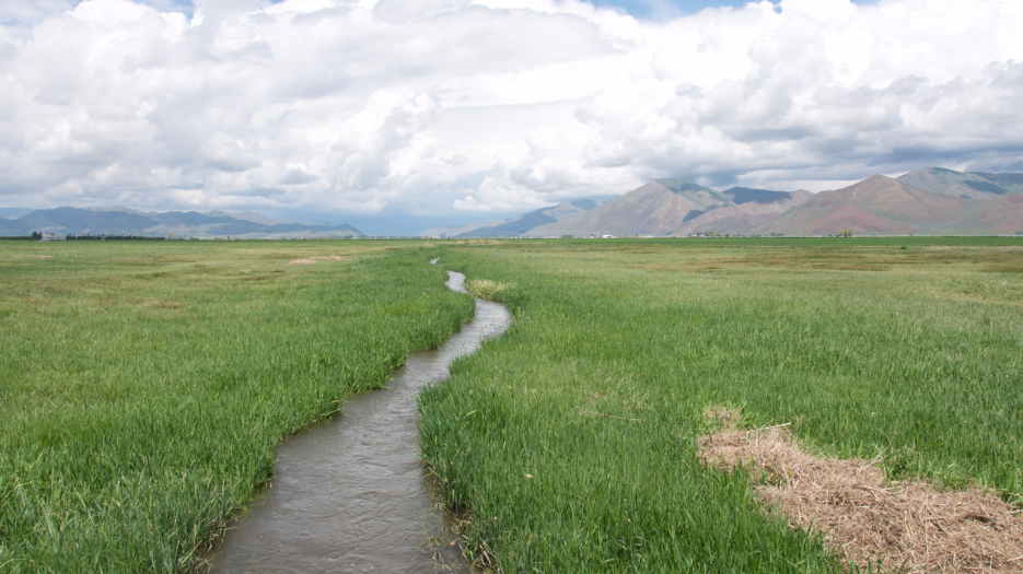 What do revisions to US water rules mean for ag interests?