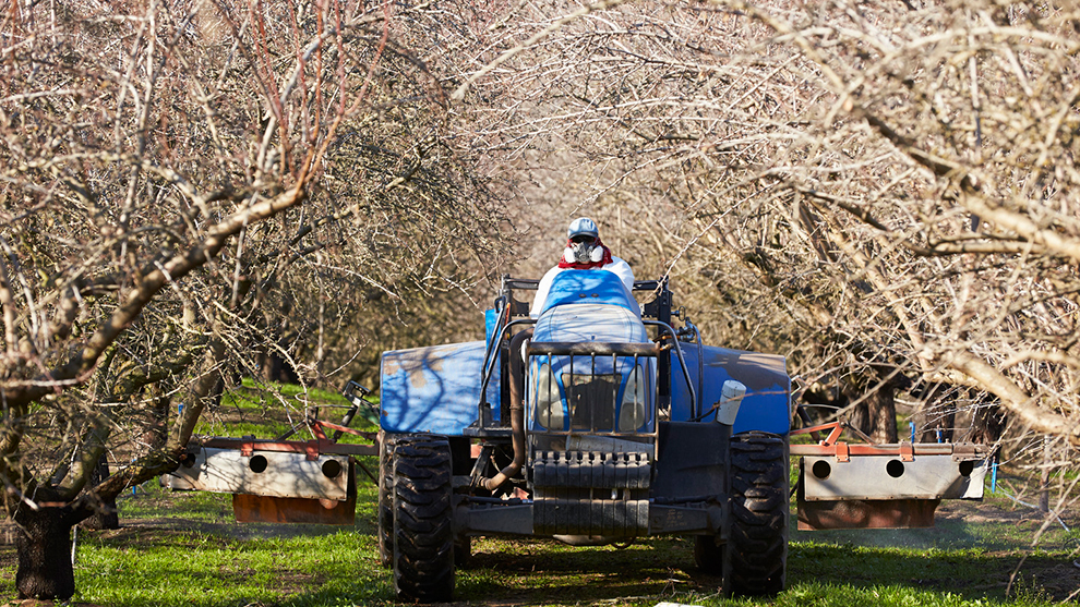 Weeds experts share guidance for growers, PCAs at TAC 2020