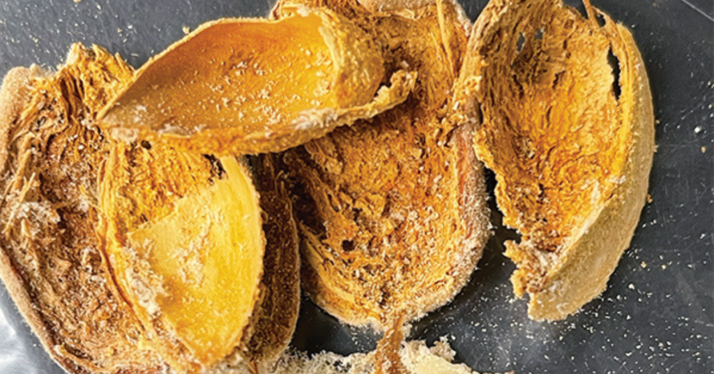 Using resources, tools to help manage unwanted pest threats on the West Coast