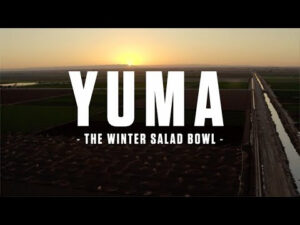 Yuma, Arizona winter lettuce producer