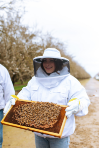 Woman dressed in a beekeeping suit holding a beehive frame covered with bees.