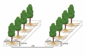 high density spacing