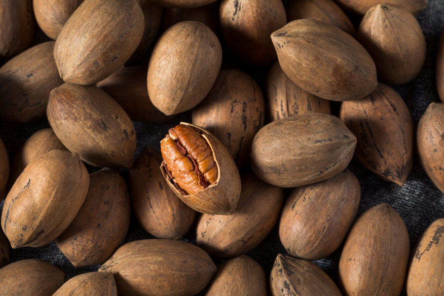 Higher U.S. pecan production forecast, major states to see declines