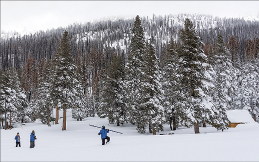 Welcome water news seen for California farmers and ranchers