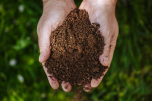Close-up of outstretched hands holding brown soil.