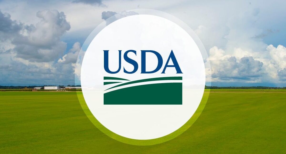 USDA logo