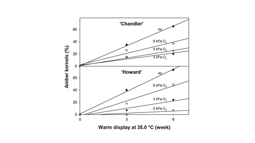 UC Davis studies removing rancidification to boost English walnut consumption