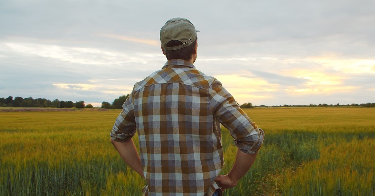 Farmer in front of a sunset agricultural landscape.