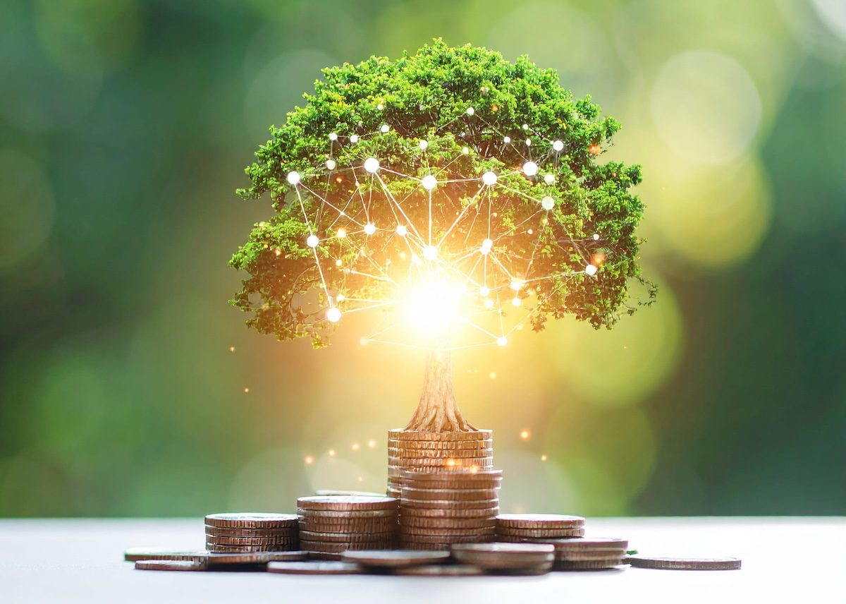 A bright idea, represented by a glowing lightbulb with a thriving tree, sprouts from a foundation of coins.