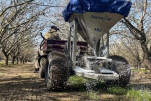 Farm equipment placing fertilizer in an almond orchard.