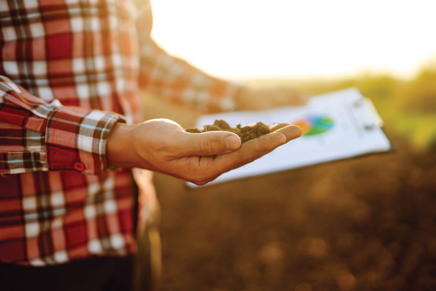 Hand of expert farmer collect soil and checking soil health before growth a seed of vegetable.