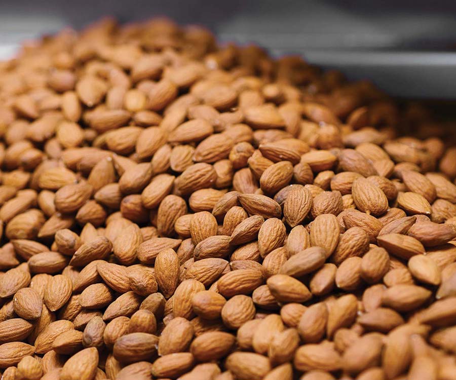 Nut processing equipment: Built in California, bound for the world