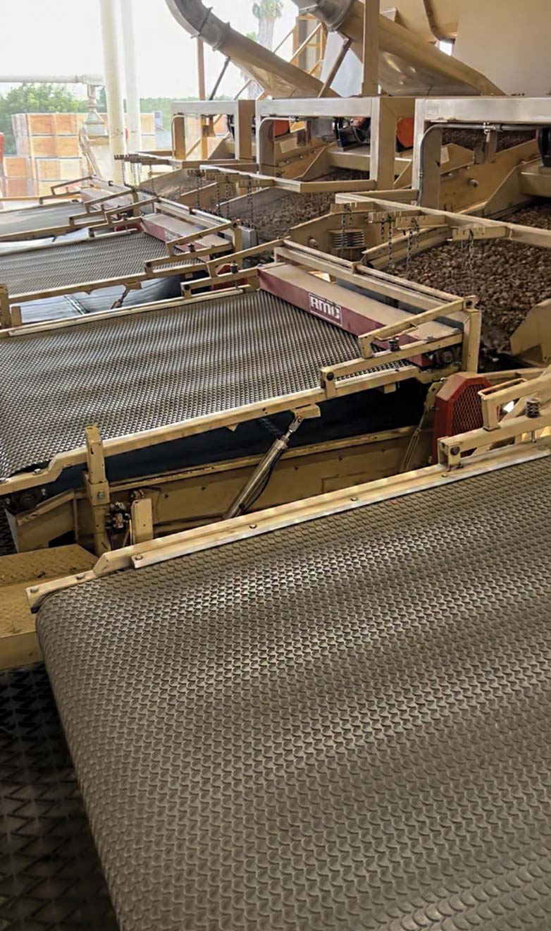 A series of machinery for the pre-cleaning process at an almond hulling and shelling facility.