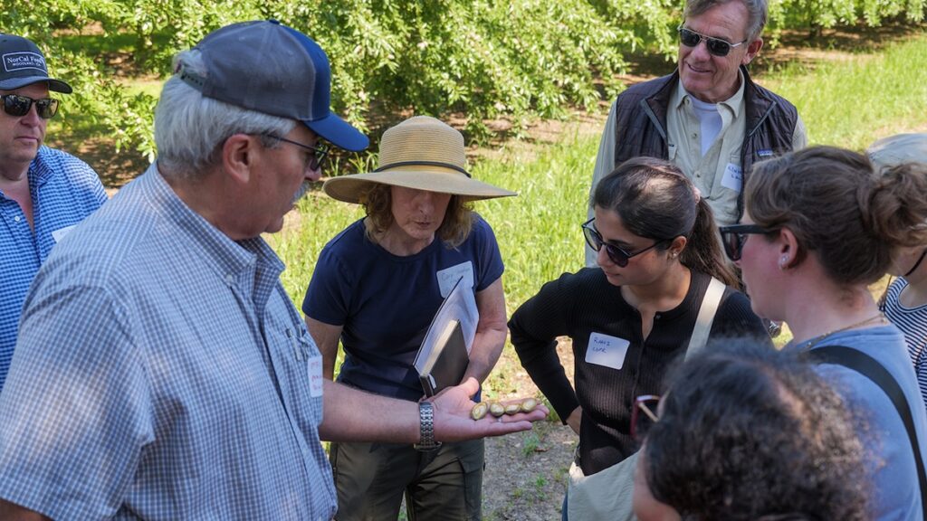 group of people looking at almonds in a mans hand