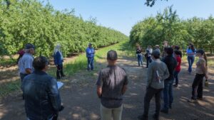 Almond Board tour gives California regulators firsthand look at almond farming